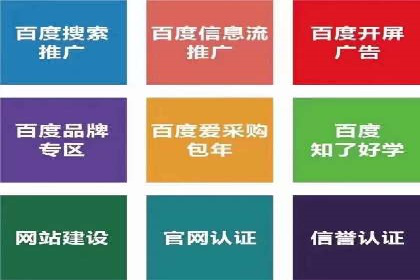 SEM服务在本地化营销中的应用案例